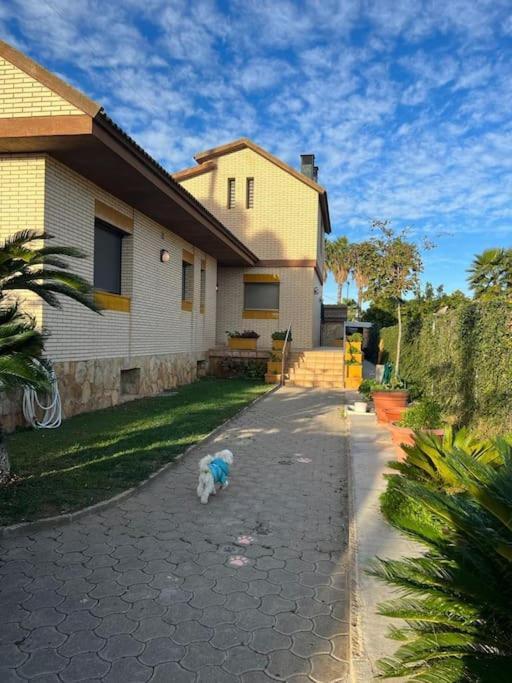 Casa Parra Villa Deltebre Exterior foto
